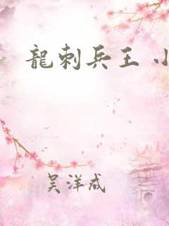 龙刺兵王 小说