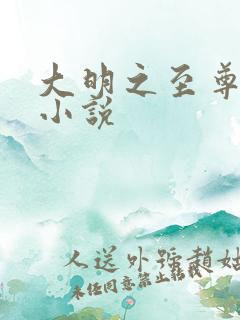 大明之至尊帝王小说