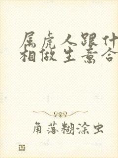 属虎人跟什么属相做生意合财最好