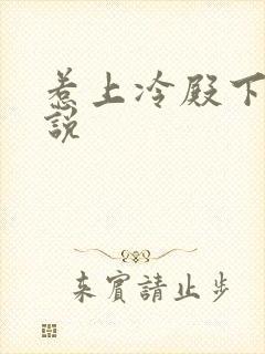 惹上冷殿下 小说