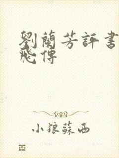 刘兰芳评书,岳飞传