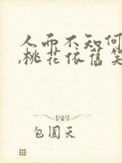 人面不知何处去,桃花依旧笑春风赏析