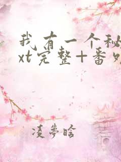 我有一个秘密txt完整+番外