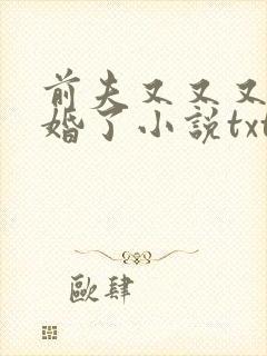 前夫又又又想复婚了小说txt