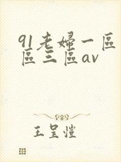 91老妇一区二区三区av