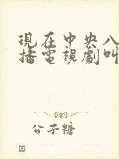 现在中央八台热播电视剧叫什么