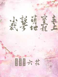 小说萌宝来袭总裁爹地宠上天 小说萌宝来袭总裁爹地宠上天