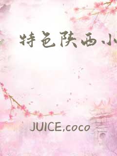 特色陕西小吃