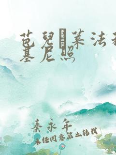芭儿·莱法利比基尼照