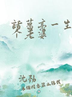 诸葛亮一生的六个老婆
