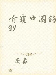 偷窥中国的女人gy