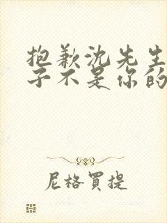 抱歉沈先生,孩子不是你的短剧在线