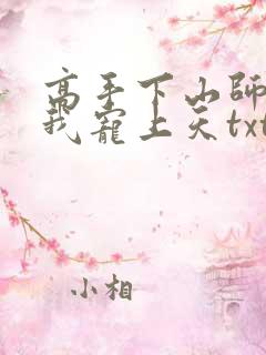高手下山师姐将我宠上天txt