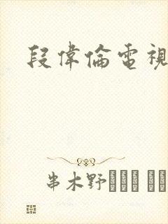 段伟伦电视剧