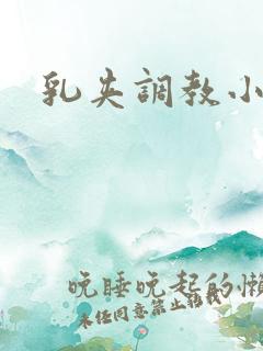 乳夹调教小说