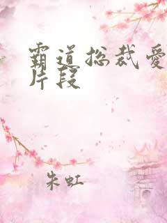 霸道总裁爱上我片段