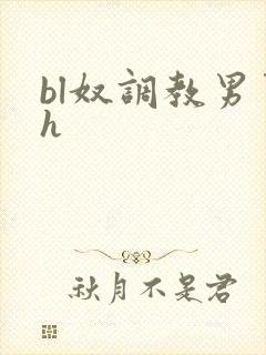 bl奴调教男男h