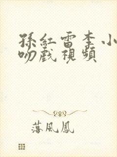 孙红雷李小冉演吻戏视频