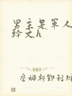 男主是军人的高干文h