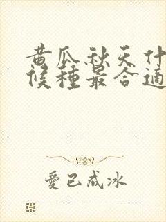 黄瓜秋天什么时候种最合适