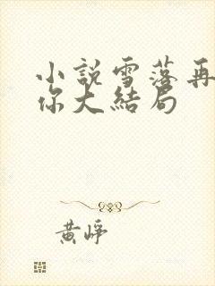 小说雪落再说爱你大结局