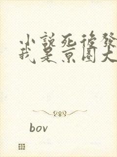 小说死后发现,我是京圈大佬的白月光