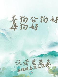 养狗公狗好还是母狗好
