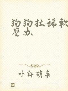 狗狗拉稀软便怎么办