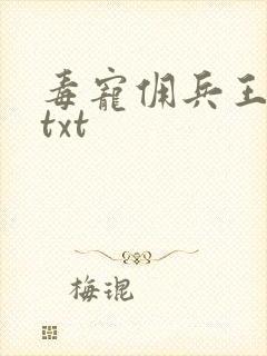 毒宠佣兵王妃 txt