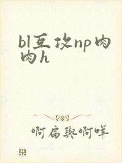 bl互攻np肉肉h
