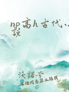 np高h古代小说