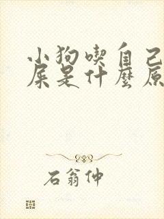小狗吃自己拉的屎是什么原因?
