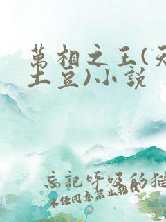 万相之王(天蚕土豆)小说