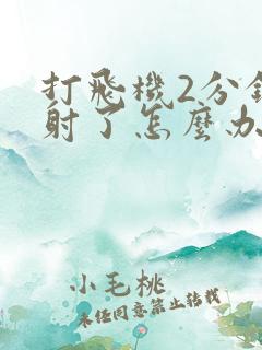 打飞机2分钟就射了怎么办