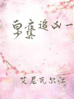 白夜追凶一共多少集