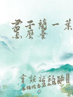 君子兰一叶小苗怎么养 君子兰一叶小苗怎么养