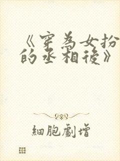 《穿为女扮男装的丞相后》