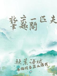 北宋一匹夫宁策笔趣阁