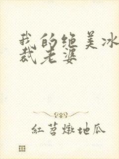 我的绝美冰山总裁老婆