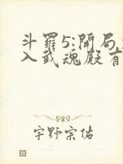 斗罗5:开局加入武魂殿有声小说完整