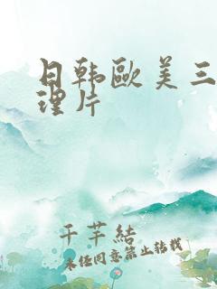 日韩欧美三级伦理片