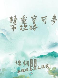 精灵宝可梦深灰市攻略