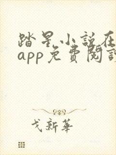 踏星小说在哪个app免费阅读 踏星小说在哪个app免费阅读