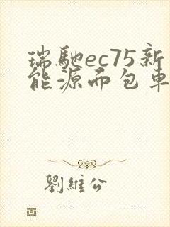 瑞驰ec75新能源面包车