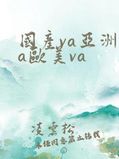 国产va亚洲va欧美va