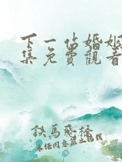 下一站婚姻40集免费观看完整版