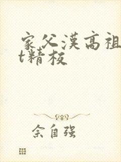 家父汉高祖txt精校