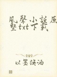 风声小说原著完整txt下载
