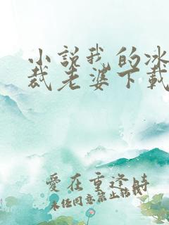 小说我的冰山总裁老婆下载 小说我的冰山总裁老婆下载
