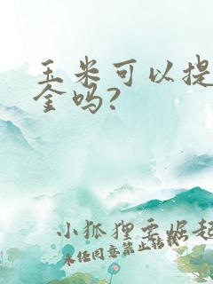 玉米可以提炼黄金吗?